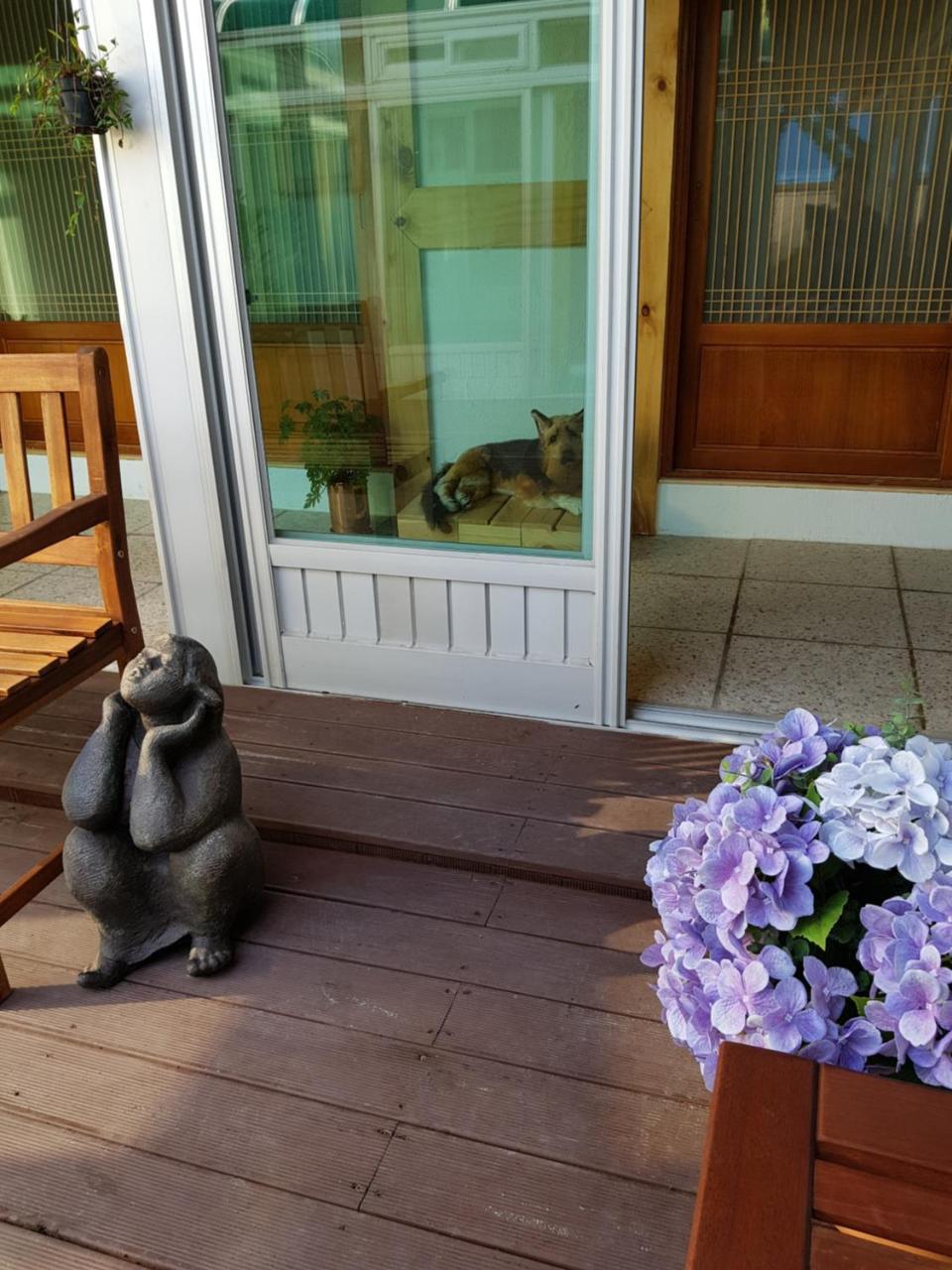 Dal Garam Guesthouse Gangneung Exterior photo